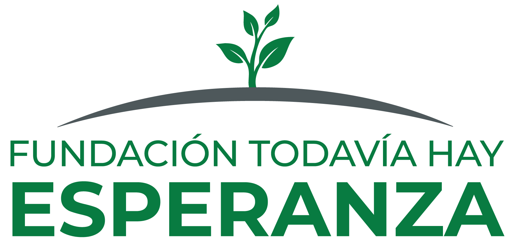 Logo de la Fundación